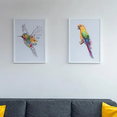 Zielinskiego Colourful * Вроцлав